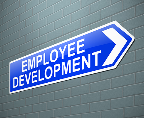 Investing In Employee Training